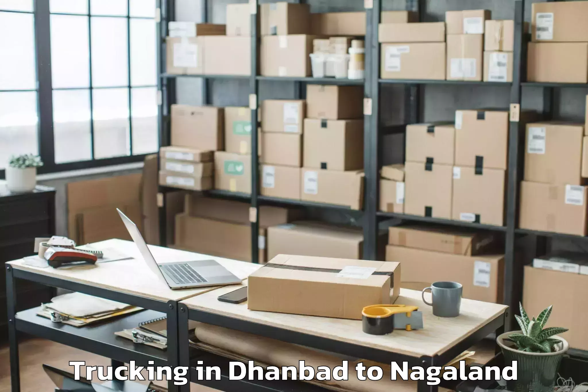 Easy Dhanbad to Kuhoboto Trucking Booking